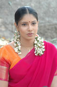 Tollywood Actress Sanghavi Half Saree Photos hot images