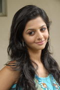 Actress Vedika High Quality Photos hot images