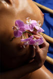 Nata - Orchid in the Night-h38lplthdo.jpg