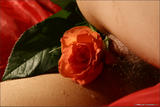 Nata - Bodyscape: Love is a Rose-00isfo6zy4.jpg